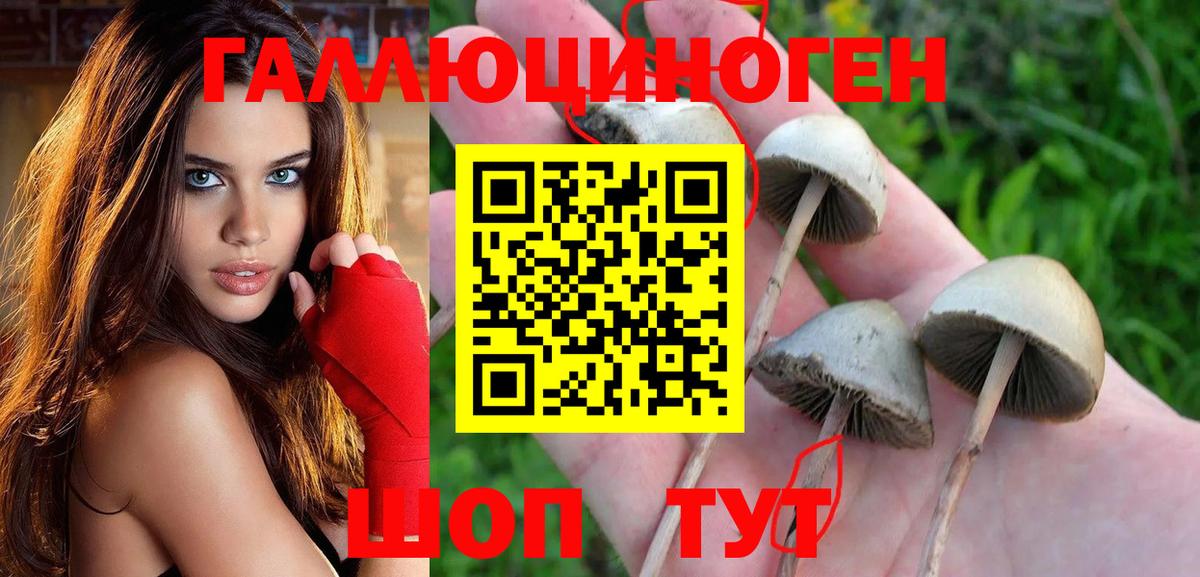 Галлюциногенные грибы ЛСД Курчалой