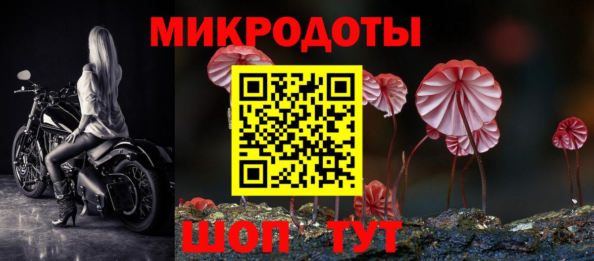 Галлюциногенные грибы Psilocybe  Псилоцибиновые грибы Psilocybine cubensis  сколько стоит  Вход с VPN  Курчалой 